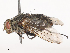  ( - CBG-A46880-C01)  @11 [ ] CreativeCommons - Attribution Share - Alike (2024) CBG Photography Group Centre for Biodiversity Genomics