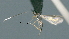  ( - CCDB-46555-A02)  @11 [ ] CreativeCommons - Attribution (2023) Michael Sharkey Centre for Biodiversity Genomics