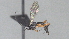  ( - CCDB-28460-F10)  @11 [ ] CreativeCommons - Attribution (2023) Michael Sharkey Centre for Biodiversity Genomics