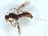  ( - BIOUG67476-C06)  @11 [ ] CreativeCommons - Attribution (2022) CBG Photography Group Centre for Biodiversity Genomics