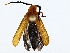  ( - BIOUG76529-F02)  @11 [ ] CreativeCommons - Attribution (2022) CBG Photography Group Centre for Biodiversity Genomics