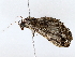  ( - BIOUG76529-G12)  @11 [ ] CreativeCommons - Attribution (2022) CBG Photography Group Centre for Biodiversity Genomics