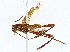  ( - BIOUG76530-B03)  @11 [ ] CreativeCommons - Attribution (2022) CBG Photography Group Centre for Biodiversity Genomics