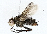  ( - BIOUG76531-D06)  @11 [ ] CreativeCommons - Attribution (2022) CBG Photography Group Centre for Biodiversity Genomics