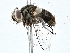  ( - BIOUG77701-B09)  @11 [ ] CreativeCommons - Attribution (2022) CBG Photography Group Centre for Biodiversity Genomics