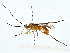  ( - BIOUG77703-E09)  @11 [ ] CreativeCommons - Attribution (2022) CBG Photography Group Centre for Biodiversity Genomics