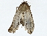  ( - BIOUG77704-F05)  @11 [ ] CreativeCommons - Attribution (2022) CBG Photography Group Centre for Biodiversity Genomics