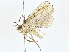  ( - BIOUG77706-E03)  @11 [ ] CreativeCommons - Attribution (2022) CBG Photography Group Centre for Biodiversity Genomics
