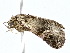  ( - BIOUG77708-E07)  @11 [ ] CreativeCommons - Attribution (2022) CBG Photography Group Centre for Biodiversity Genomics