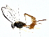  ( - BIOUG77709-A07)  @11 [ ] CreativeCommons - Attribution (2022) CBG Photography Group Centre for Biodiversity Genomics