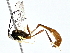  ( - BIOUG77709-B09)  @11 [ ] CreativeCommons - Attribution (2022) CBG Photography Group Centre for Biodiversity Genomics