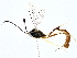  ( - BIOUG77709-G09)  @11 [ ] CreativeCommons - Attribution (2022) CBG Photography Group Centre for Biodiversity Genomics