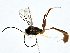  ( - BIOUG77709-G10)  @11 [ ] CreativeCommons - Attribution (2022) CBG Photography Group Centre for Biodiversity Genomics
