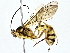  ( - BIOUG77710-D08)  @11 [ ] CreativeCommons - Attribution (2022) CBG Photography Group Centre for Biodiversity Genomics