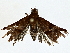  ( - BIOUG77710-E03)  @11 [ ] CreativeCommons - Attribution (2022) CBG Photography Group Centre for Biodiversity Genomics