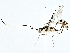  ( - BIOUG77710-F07)  @11 [ ] CreativeCommons - Attribution (2022) CBG Photography Group Centre for Biodiversity Genomics