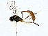  ( - BIOUG77710-F08)  @11 [ ] CreativeCommons - Attribution (2022) CBG Photography Group Centre for Biodiversity Genomics