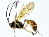  ( - BIOUG80713-A07)  @11 [ ] CreativeCommons - Attribution (2022) CBG Photography Group Centre for Biodiversity Genomics
