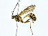 ( - BIOUG80713-A08)  @11 [ ] CreativeCommons - Attribution (2022) CBG Photography Group Centre for Biodiversity Genomics