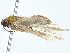  ( - BIOUG80713-D10)  @11 [ ] CreativeCommons - Attribution (2022) CBG Photography Group Centre for Biodiversity Genomics