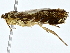  ( - BIOUG80713-D11)  @11 [ ] CreativeCommons - Attribution (2022) CBG Photography Group Centre for Biodiversity Genomics