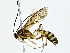  ( - BIOUG80713-E03)  @11 [ ] CreativeCommons - Attribution (2022) CBG Photography Group Centre for Biodiversity Genomics