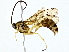  ( - BIOUG80713-E04)  @11 [ ] CreativeCommons - Attribution (2022) CBG Photography Group Centre for Biodiversity Genomics