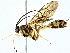  ( - BIOUG80713-E05)  @11 [ ] CreativeCommons - Attribution (2022) CBG Photography Group Centre for Biodiversity Genomics