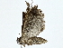  ( - BIOUG80713-F05)  @11 [ ] CreativeCommons - Attribution (2022) CBG Photography Group Centre for Biodiversity Genomics
