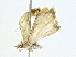  ( - BIOUG80714-B02)  @11 [ ] CreativeCommons - Attribution (2022) CBG Photography Group Centre for Biodiversity Genomics