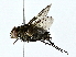  ( - BIOUG80714-B09)  @11 [ ] CreativeCommons - Attribution (2022) CBG Photography Group Centre for Biodiversity Genomics