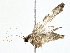  ( - BIOUG80715-A05)  @11 [ ] CreativeCommons - Attribution (2022) CBG Photography Group Centre for Biodiversity Genomics