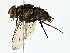  ( - BIOUG80715-C04)  @11 [ ] CreativeCommons - Attribution (2022) CBG Photography Group Centre for Biodiversity Genomics