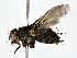  ( - BIOUG80715-G09)  @11 [ ] CreativeCommons - Attribution (2022) CBG Photography Group Centre for Biodiversity Genomics