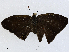  ( - CBG-A02849-D02)  @11 [ ] CreativeCommons - Attribution (2023) CBG Photography Group Centre for Biodiversity Genomics