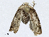  ( - CBG-A02849-D09)  @11 [ ] CreativeCommons - Attribution (2023) CBG Photography Group Centre for Biodiversity Genomics
