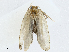  ( - CBG-A02849-E01)  @11 [ ] CreativeCommons - Attribution (2023) CBG Photography Group Centre for Biodiversity Genomics