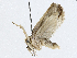  ( - CBG-A02849-E03)  @11 [ ] CreativeCommons - Attribution (2023) CBG Photography Group Centre for Biodiversity Genomics
