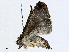  ( - CBG-A02849-E04)  @11 [ ] CreativeCommons - Attribution (2023) CBG Photography Group Centre for Biodiversity Genomics