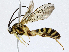  ( - CBG-A02849-E06)  @11 [ ] CreativeCommons - Attribution (2023) CBG Photography Group Centre for Biodiversity Genomics