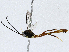  ( - CBG-A02849-E11)  @11 [ ] CreativeCommons - Attribution (2023) CBG Photography Group Centre for Biodiversity Genomics