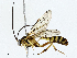  ( - CBG-A02849-H03)  @11 [ ] CreativeCommons - Attribution (2023) CBG Photography Group Centre for Biodiversity Genomics