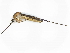  ( - CBG-A02849-H06)  @11 [ ] CreativeCommons - Attribution (2023) CBG Photography Group Centre for Biodiversity Genomics