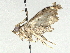  ( - CBG-A02850-A07)  @11 [ ] CreativeCommons - Attribution (2023) CBG Photography Group Centre for Biodiversity Genomics