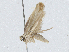  ( - CBG-A02850-A09)  @11 [ ] CreativeCommons - Attribution (2023) CBG Photography Group Centre for Biodiversity Genomics