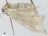  ( - CBG-A02850-A11)  @11 [ ] CreativeCommons - Attribution (2023) CBG Photography Group Centre for Biodiversity Genomics