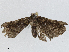  ( - CBG-A02850-E02)  @11 [ ] CreativeCommons - Attribution (2023) CBG Photography Group Centre for Biodiversity Genomics
