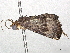  ( - CBG-A02851-G09)  @11 [ ] CreativeCommons - Attribution (2023) CBG Photography Group Centre for Biodiversity Genomics