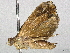  ( - CBG-A02851-G12)  @11 [ ] CreativeCommons - Attribution (2023) CBG Photography Group Centre for Biodiversity Genomics