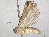  ( - CBG-A02851-H01)  @11 [ ] CreativeCommons - Attribution (2023) CBG Photography Group Centre for Biodiversity Genomics